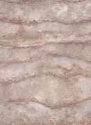 12153-11 обои Erismann коллекция Focus