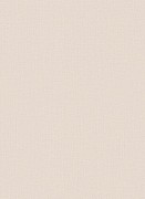 12112-32 обои Erismann коллекция Focus