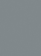 12112-19 обои Erismann коллекция Focus