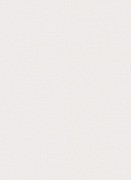 12112-14 обои Erismann коллекция Focus