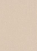 12112-05 обои Erismann коллекция Focus