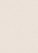 12112-02 обои Erismann коллекция Focus