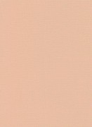 12143-23 обои Erismann коллекция Casual Chic