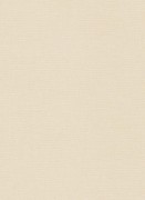 12143-14 обои Erismann коллекция Casual Chic