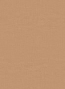 12143-11 обои Erismann коллекция Casual Chic