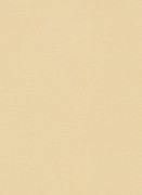 12143-02 обои Erismann коллекция Casual Chic